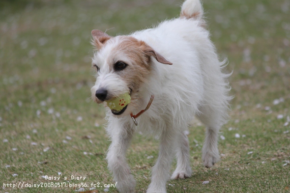 2012042106.jpg