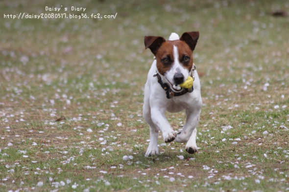 2012042107.jpg