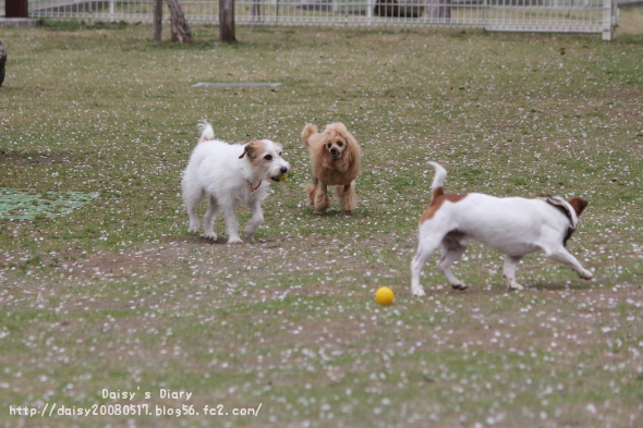 2012042108.jpg