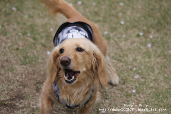 2012042109.jpg