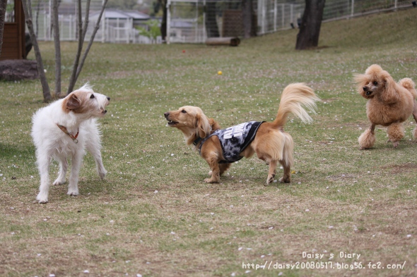 2012042110.jpg