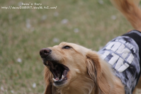 2012042111.jpg