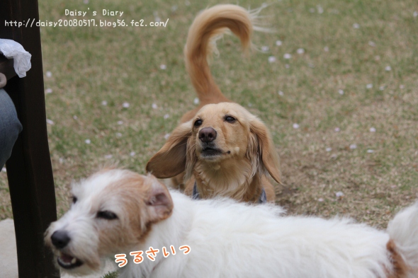 2012042112.jpg