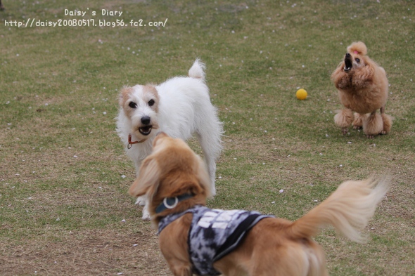 2012042113.jpg