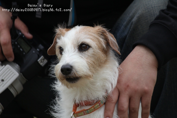 2012042114.jpg