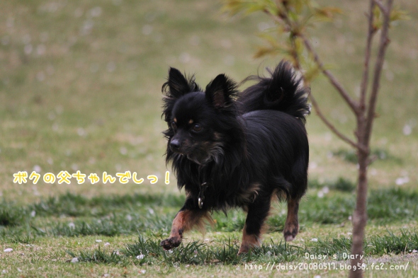 2012042115.jpg