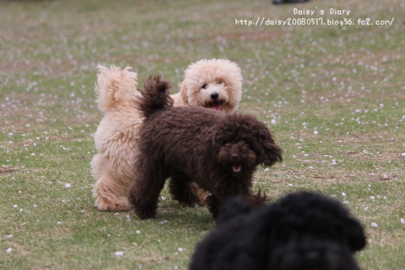 2012042116.jpg