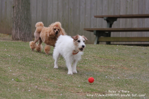 2012042117.jpg