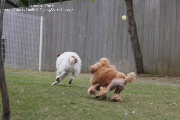 2012042118.jpg