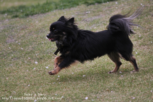2012042119.jpg