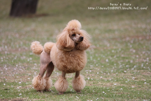2012042120.jpg