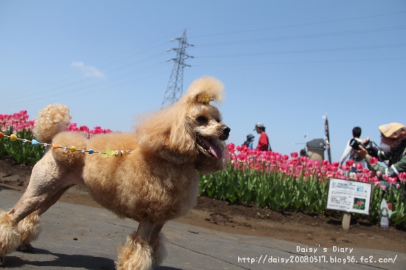 2012042501.jpg