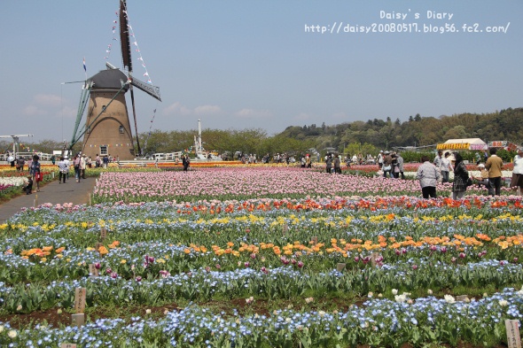 2012042502.jpg