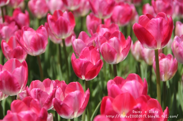 2012042503.jpg