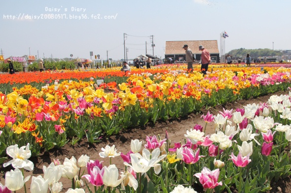 2012042504.jpg