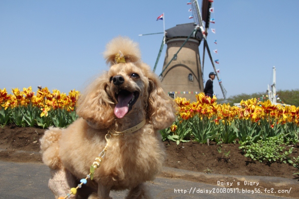 2012042507.jpg