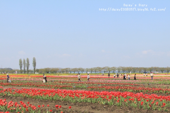 2012042510.jpg