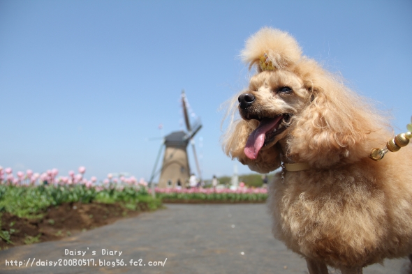 2012042512.jpg