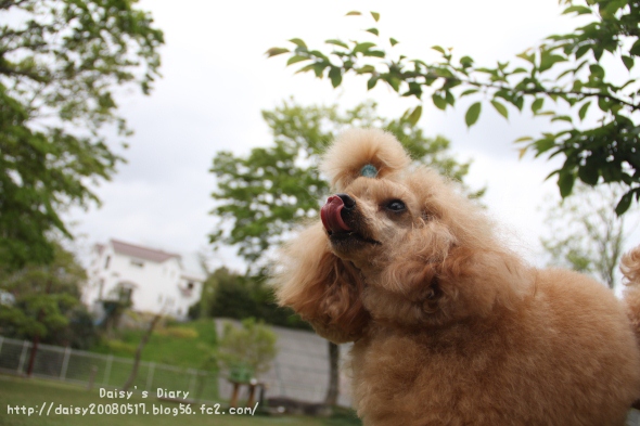 2012042701.jpg