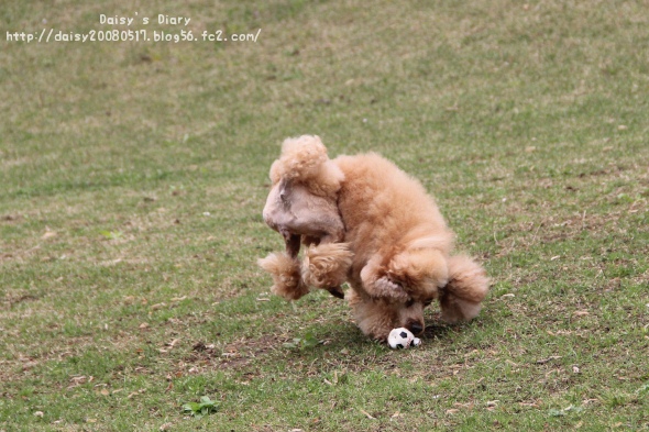2012042703.jpg