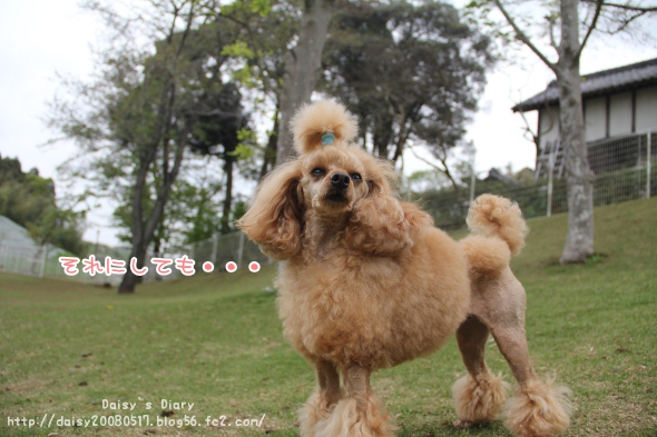 2012042704.jpg