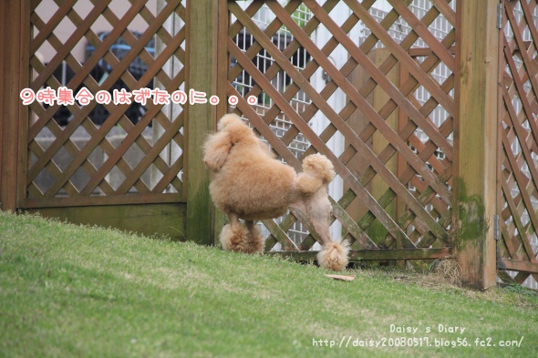 2012042706.jpg
