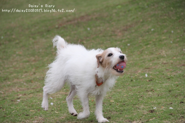 2012042707.jpg