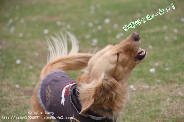2012042708.jpg