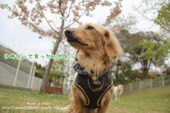 2012042709.jpg