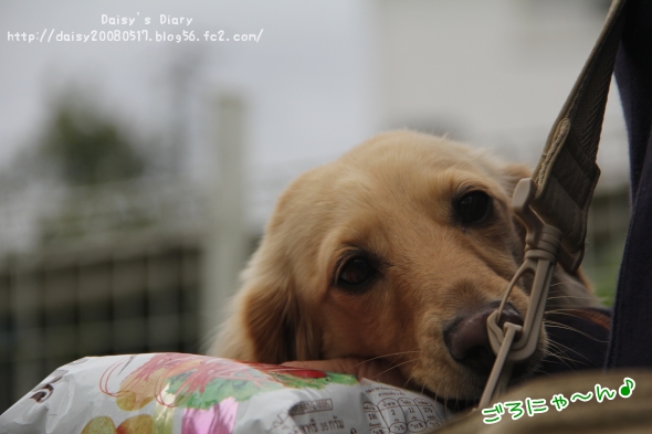 2012042710.jpg