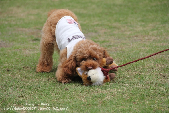 2012042711.jpg