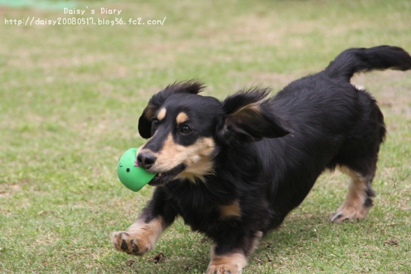 2012042712.jpg