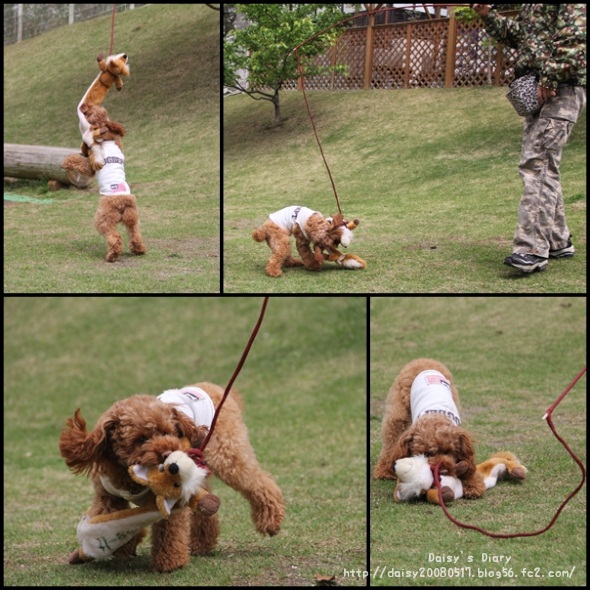 2012042713.jpg