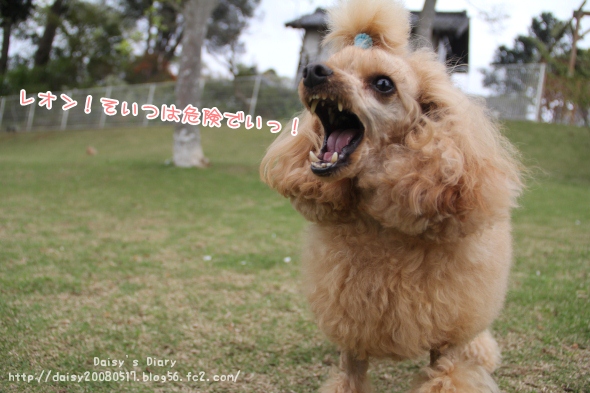 2012042714.jpg