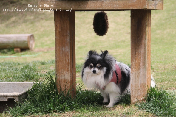 2012042715.jpg