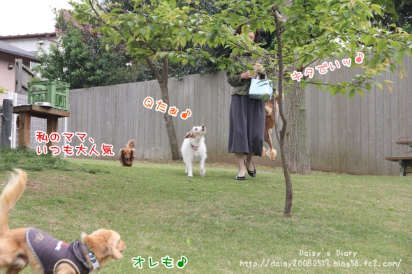 2012042717.jpg
