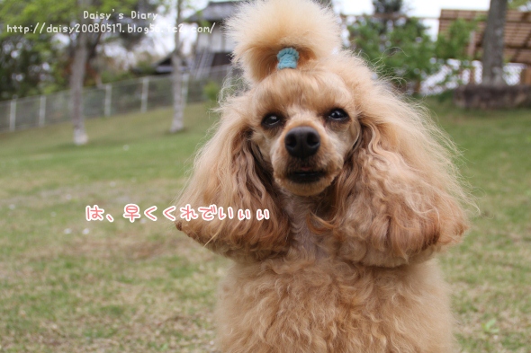 2012042718.jpg