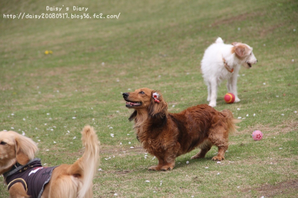 2012042719.jpg