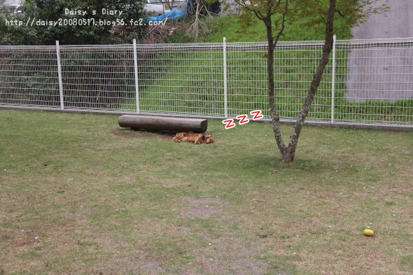 2012042720.jpg