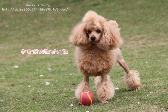 2012042721.jpg