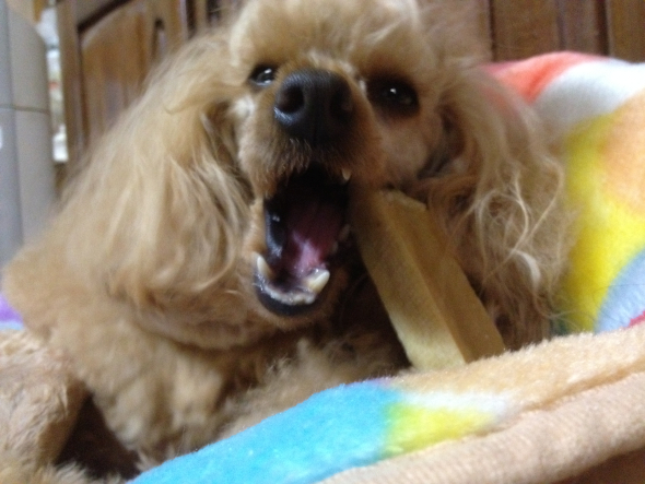 2012042804.jpg