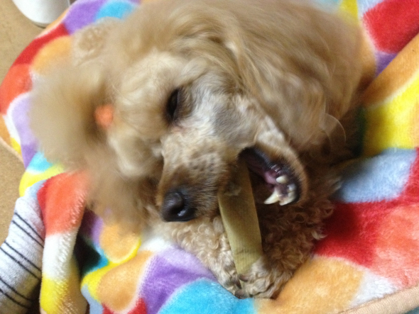 2012042805.jpg