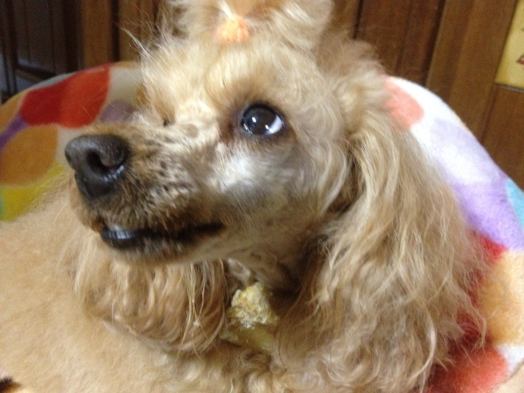 2012042806.jpg
