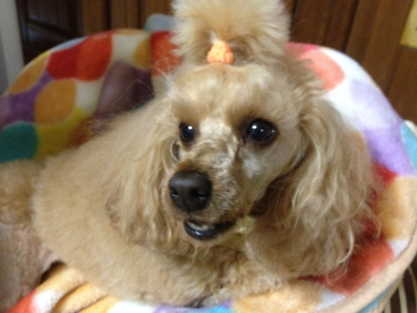 2012042807.jpg