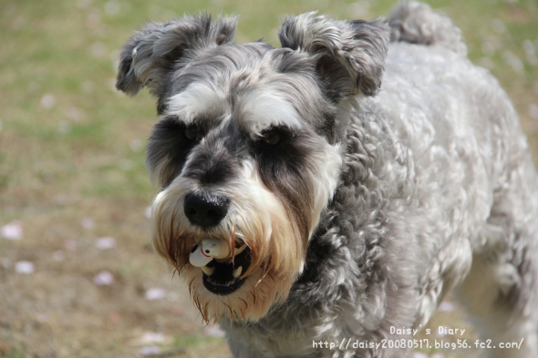 2012043002.jpg
