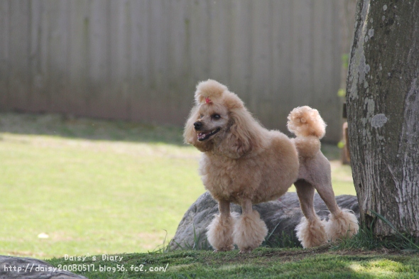 2012043004.jpg