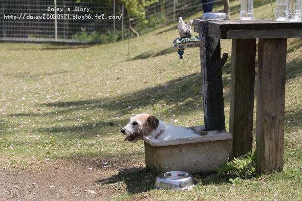 2012043005.jpg