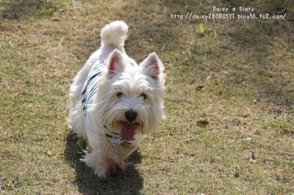 2012043006.jpg