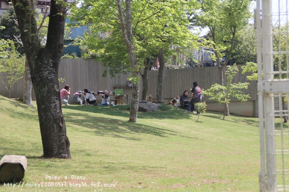 2012043007.jpg