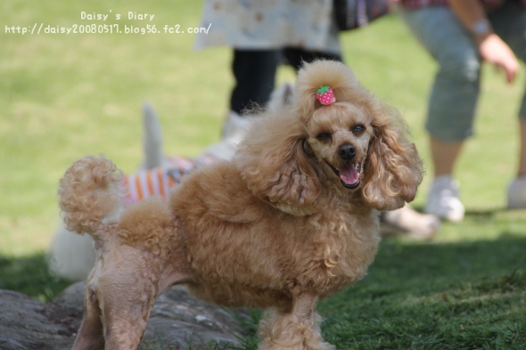 2012043008.jpg